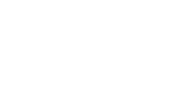 Parallels Systems