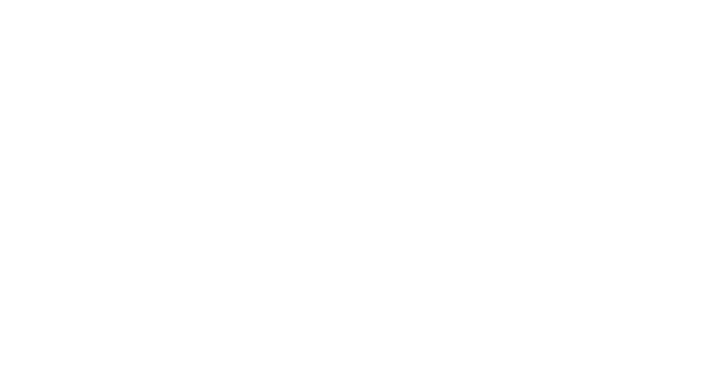 Portal Systems